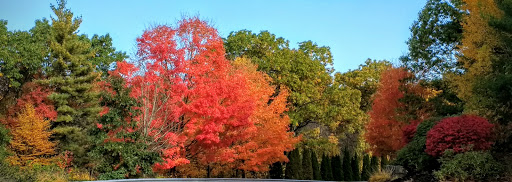 Used Car Dealer «Continental Auto Sales Inc», reviews and photos, 338 Main St A, Northborough, MA 01532, USA