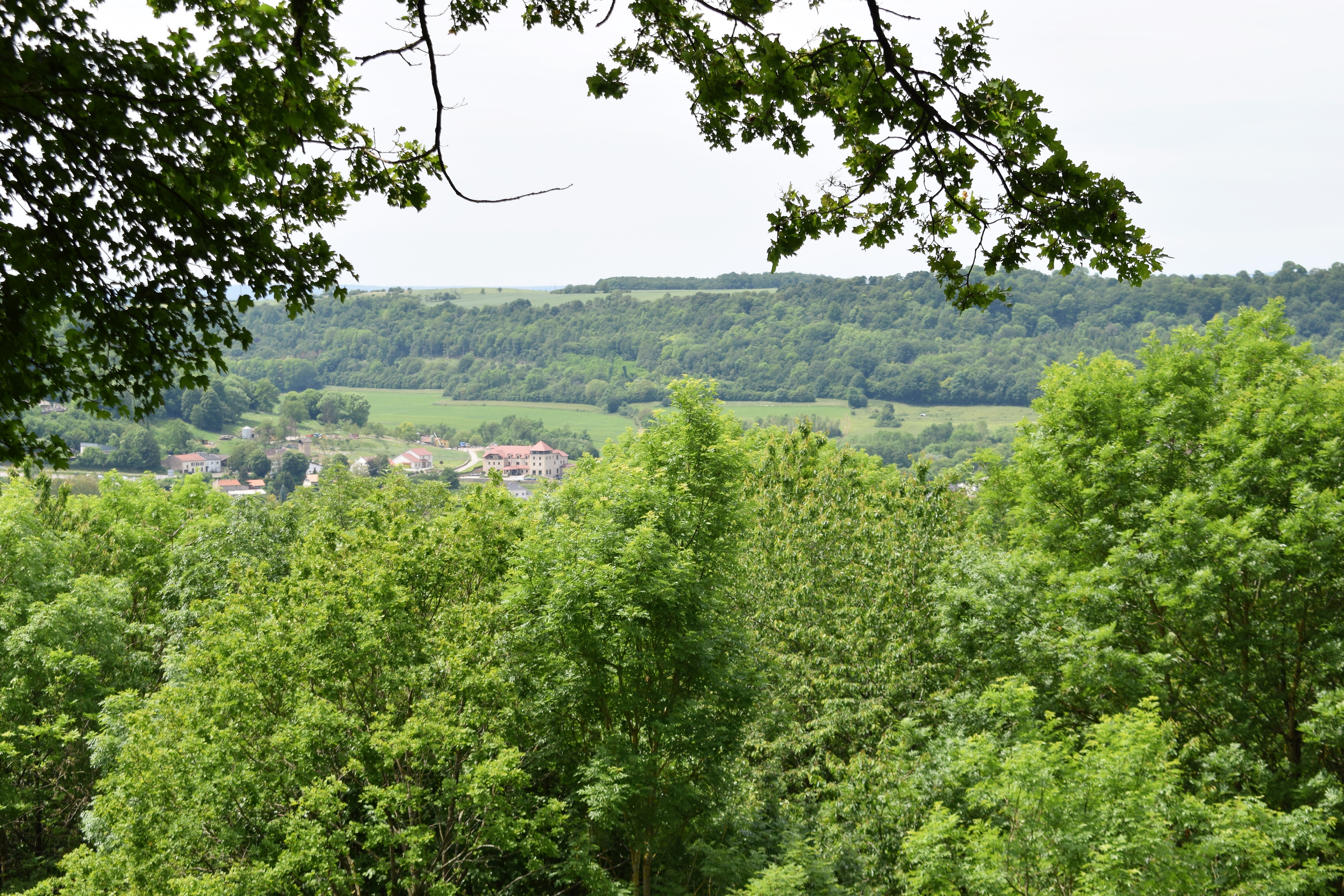 Photo n° 15 de l'avis de Philippe.e fait le 19/06/2019 à 09:25