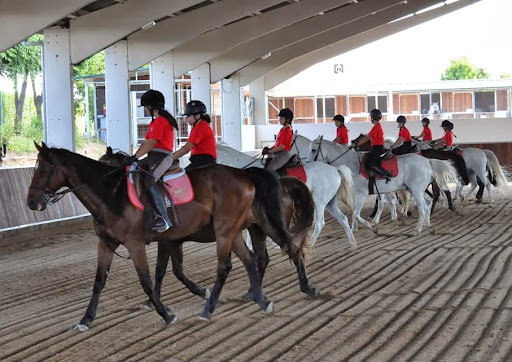 Clases montar a caballo Madrid