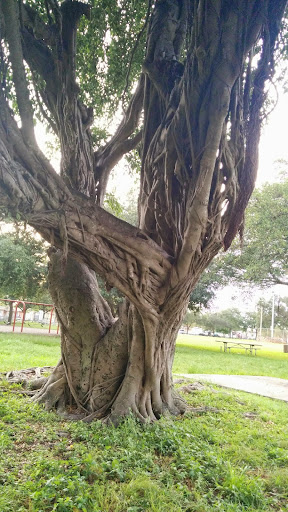 Park «North Glade Park», reviews and photos, 17355 NW 52nd Ave, Miami Gardens, FL 33055, USA