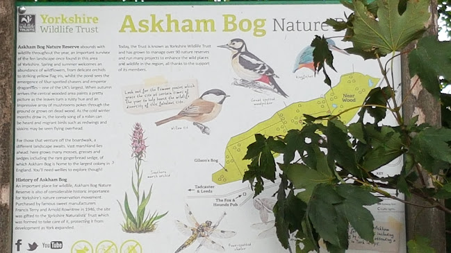 Comments and reviews of Askham Bog Car Park