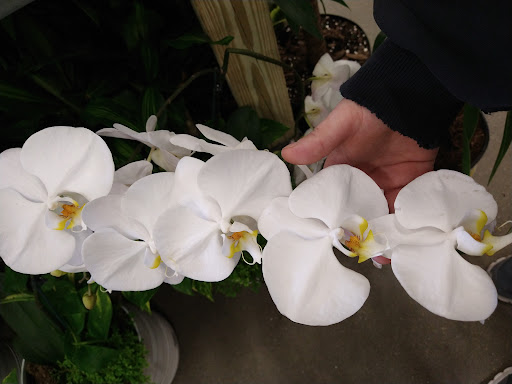 Home Improvement Store «The Home Depot», reviews and photos, 2239 State St, New Albany, IN 47150, USA