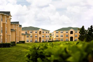 Timber Trace Apartments image