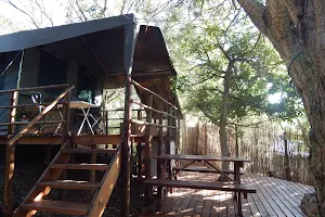 Woodcutter's Bush Camp image