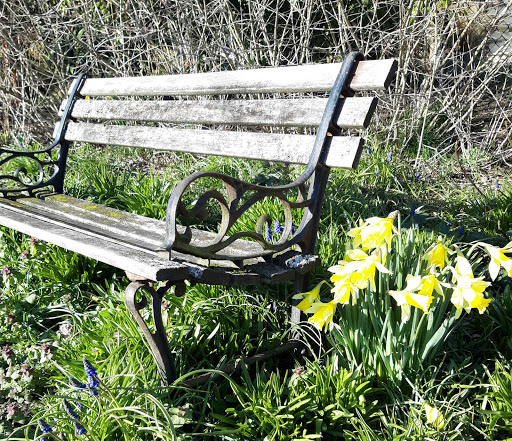 Park «Kirke Park», reviews and photos, 7028 9th Ave NW, Seattle, WA 98117, USA