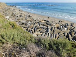 Arroyo Laguna Beach'in fotoğrafı dağlarla çevrili