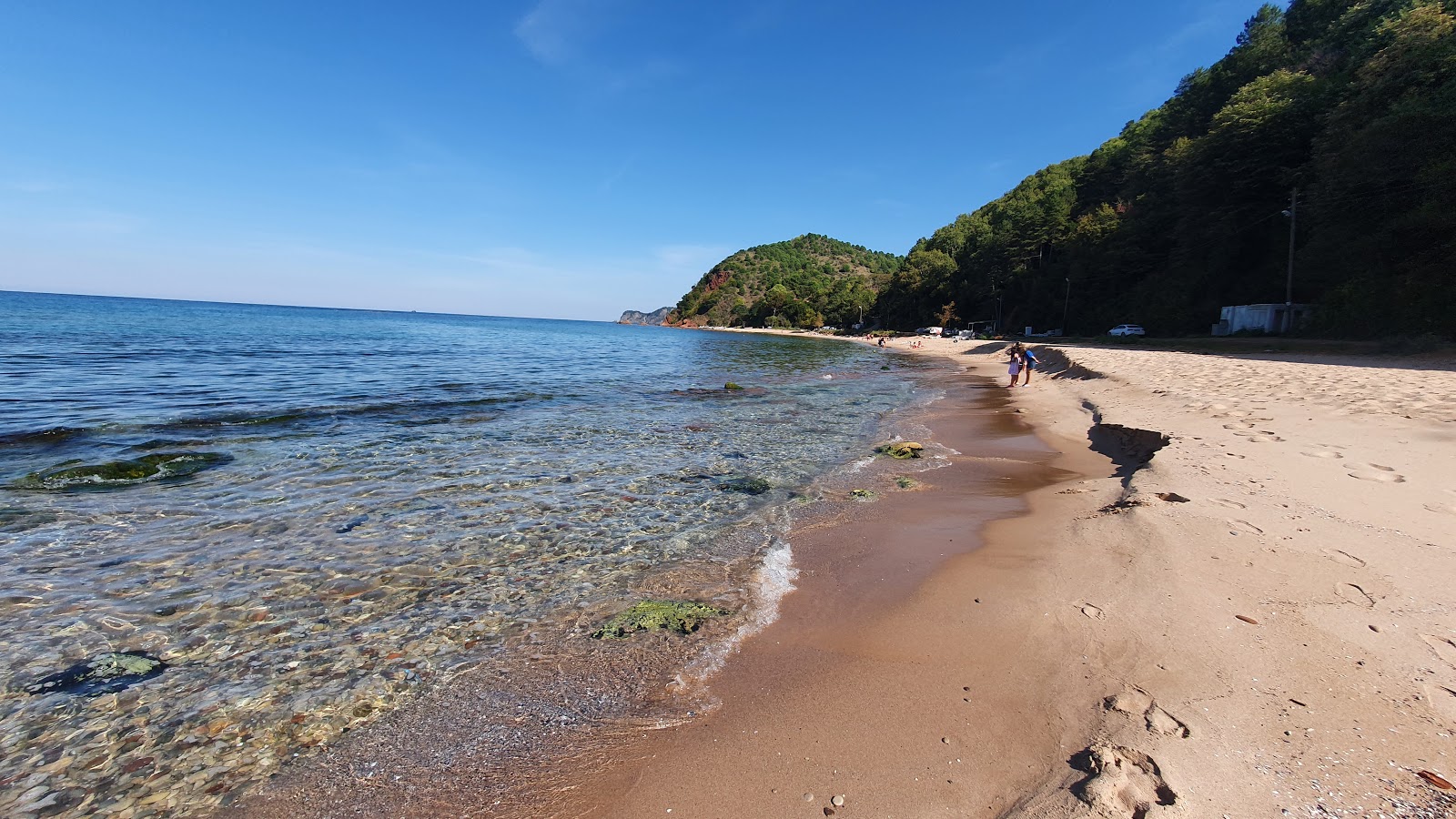 Φωτογραφία του Bozkoy Plaji με ευρύχωρη ακτή