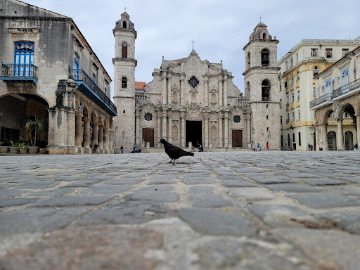 Cathedral Tour Havana