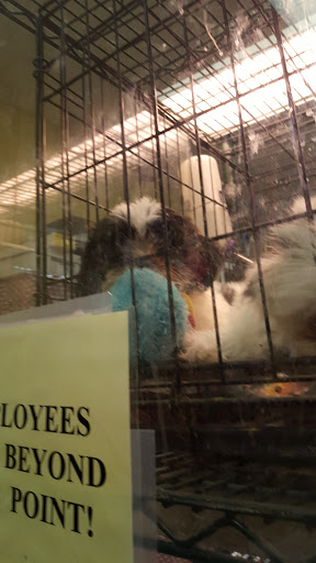 Pet Supply Store «RK Puppies & More», reviews and photos, 5417 Everhart Rd, Corpus Christi, TX 78411, USA