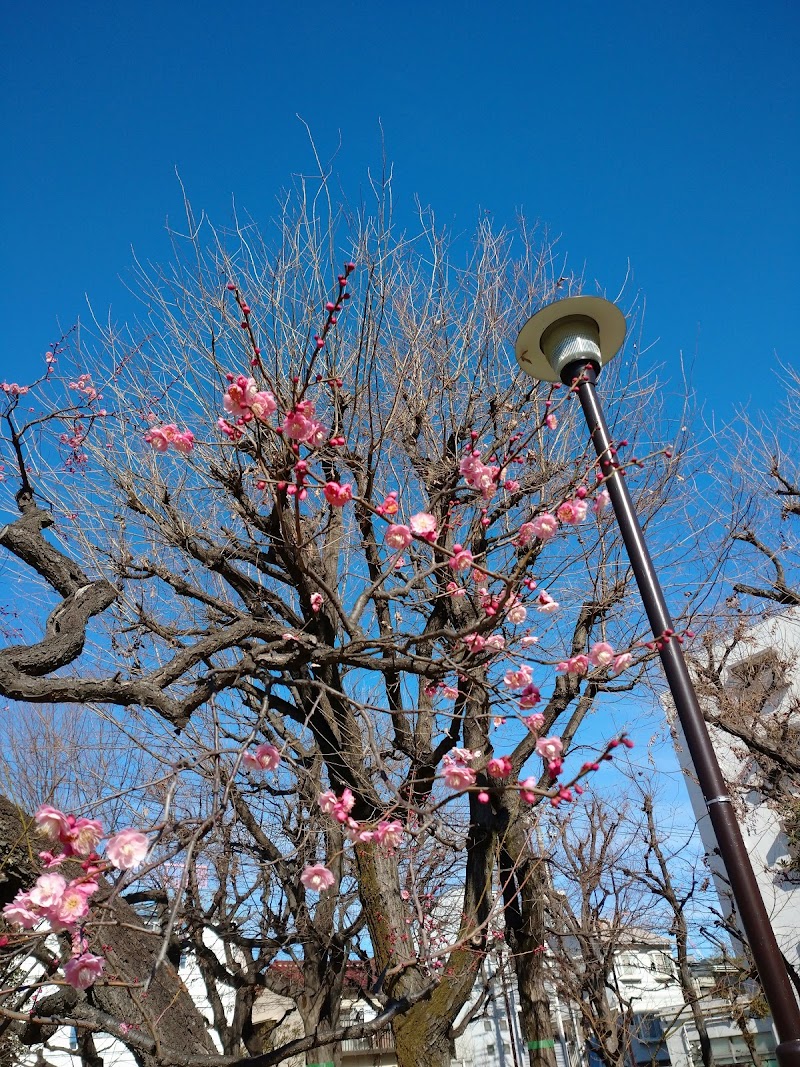 徳持公園