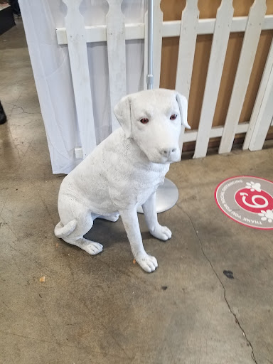 Thrift Store «ReTails Thrift Store», reviews and photos, 5000 NE Fourth Plain Blvd, Vancouver, WA 98661, USA