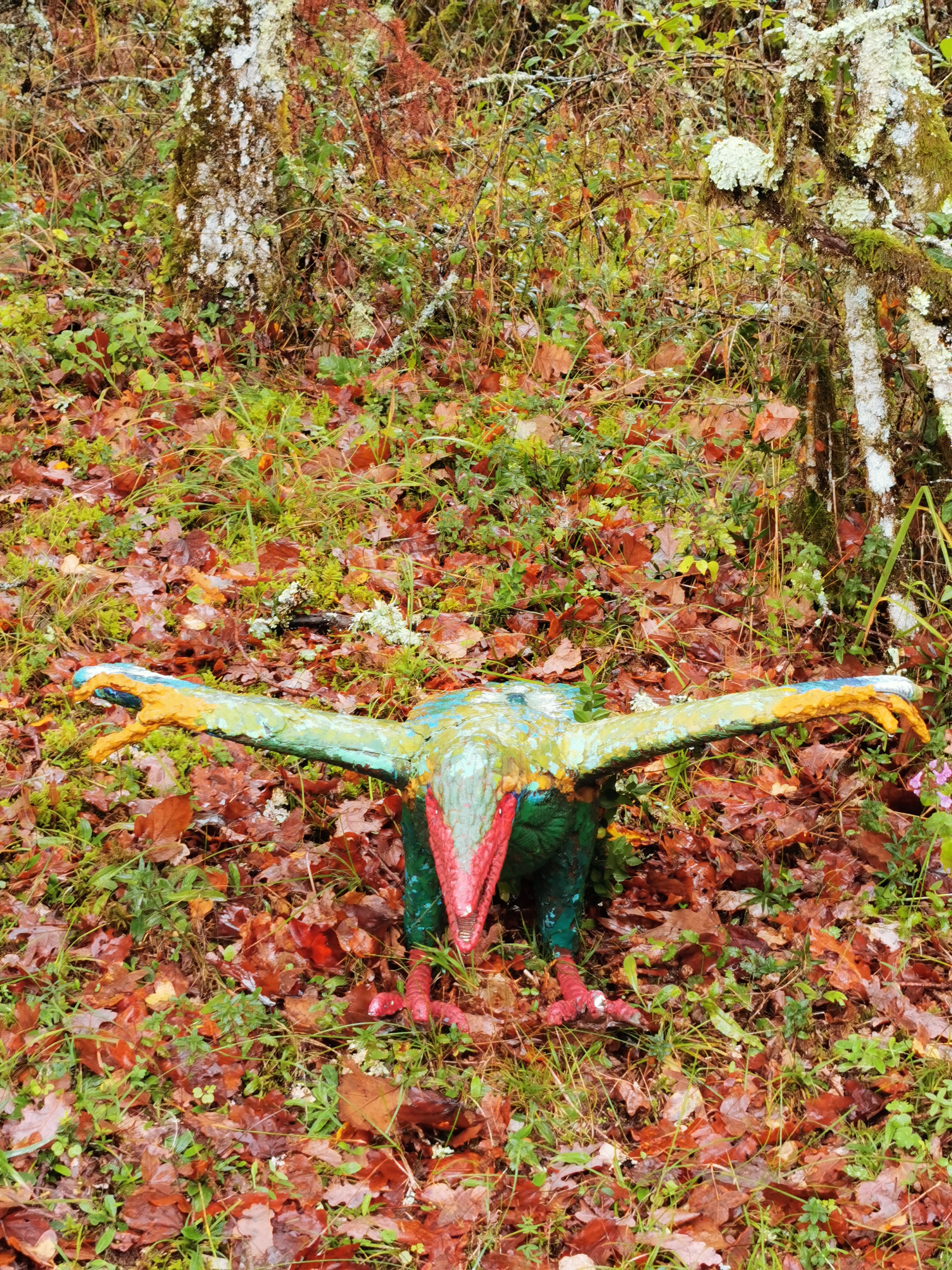 Photo n° 8 de l'avis de pascal. fait le 23/10/2019 à 14:57