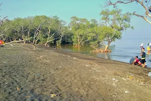 Pantai Tambak Sari image