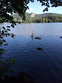 Lac Chambon du Restaurant français Auberge de la Plage à Murol - n°7