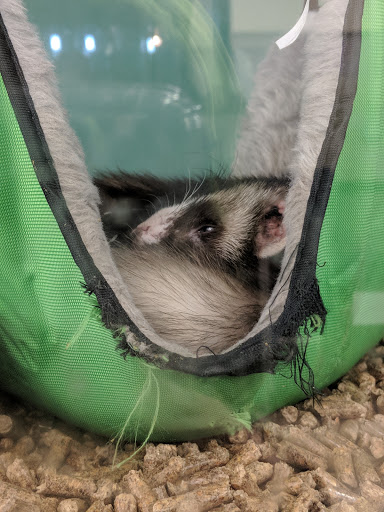 Pet Supply Store «Pet Supplies Plus», reviews and photos, 508 E Stroop Rd, Kettering, OH 45429, USA