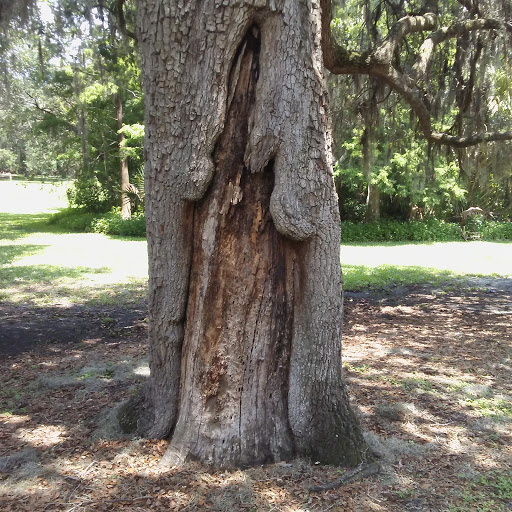 Park «Lowry Park», reviews and photos, 7525 North Blvd, Tampa, FL 33604, USA