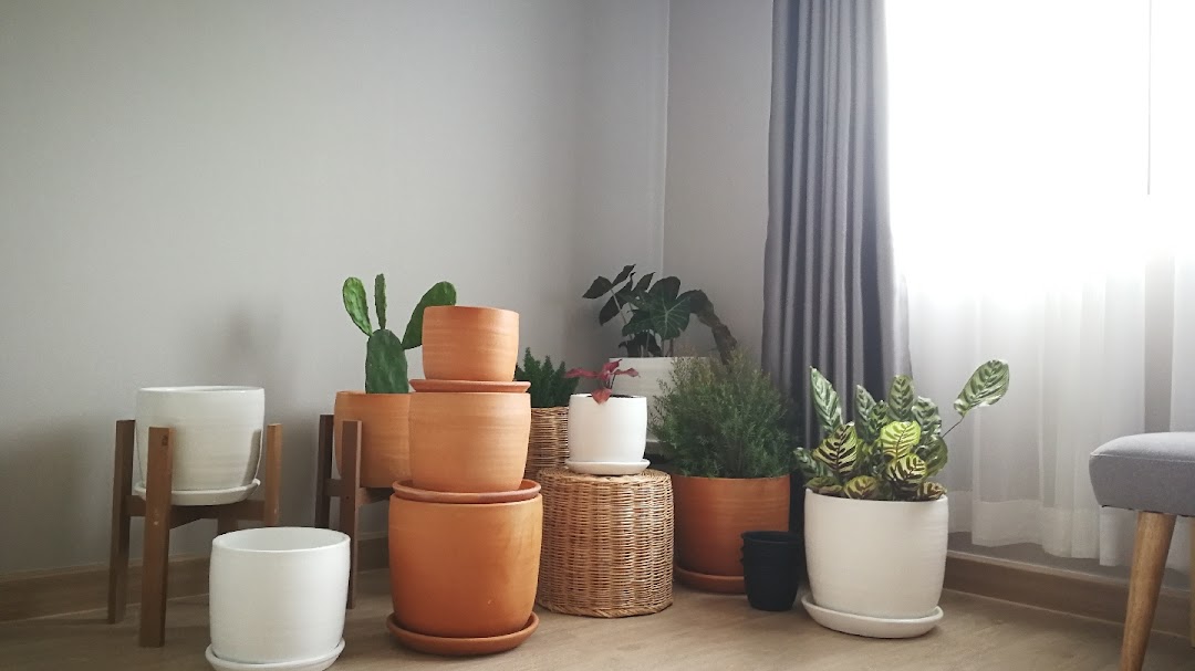 Terra Terracotta-Plant Pots