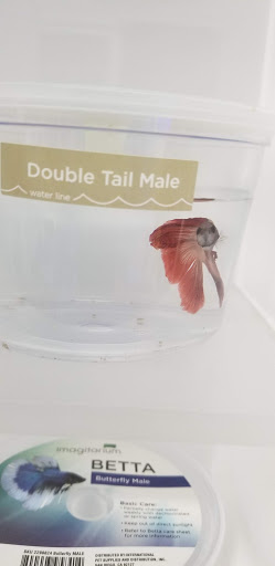 Pet Supply Store «Petco Animal Supplies», reviews and photos, 859 Kings Creek Dr, Tupelo, MS 38804, USA