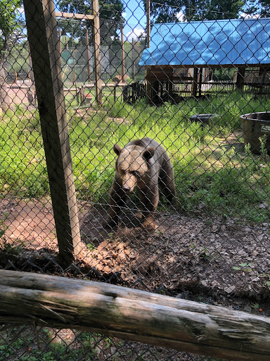 Zoo «Bailiwick Animal Park and Riding Stables», reviews and photos, 118 Castle Rd, Catskill, NY 12414, USA