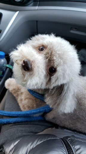 Pet Supply Store «EarthWise Pet Supply & Grooming», reviews and photos, 245 Fries Mill Rd, Blackwood, NJ 08012, USA