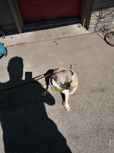 Florist «Always In Bloom, Inc.», reviews and photos, 227 Franklin Rd, Franklin, TN 37064, USA