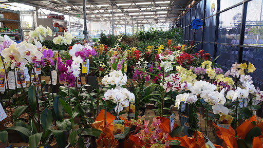 Home Improvement Store «The Home Depot», reviews and photos, 3373 Ronald McNair Way, Titusville, FL 32780, USA