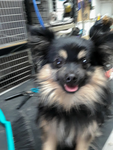 Pet Supply Store «Pets For You», reviews and photos, 413 N Main St, Rice Lake, WI 54868, USA