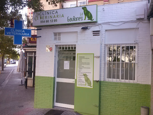Clínica Veterinaria Gavilanes 54 En Sevilla en Sevilla