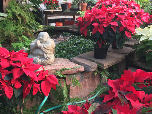 Plant Nursery «Sturtz & Copeland Florist & Greenhouses», reviews and photos, 2851 Valmont Rd, Boulder, CO 80301, USA