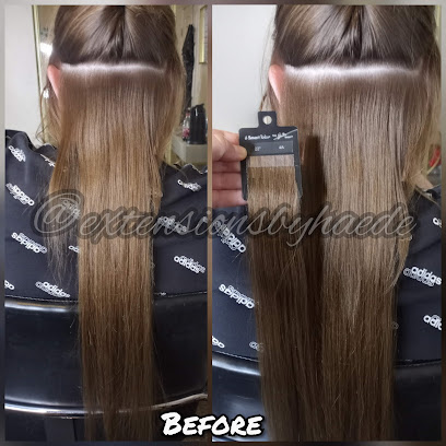 Extensions By Haede