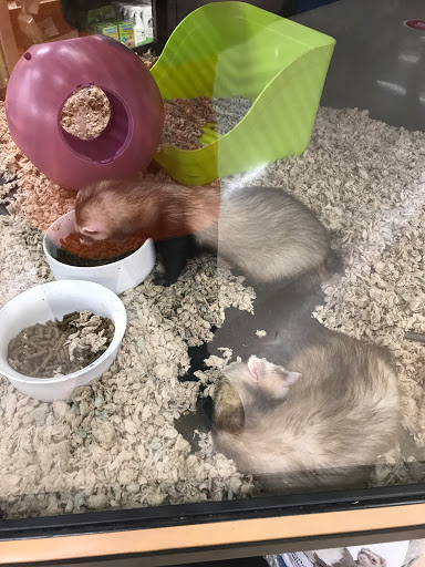 Pet Supply Store «Petco Animal Supplies», reviews and photos, 5631 Grove Blvd, Hoover, AL 35226, USA