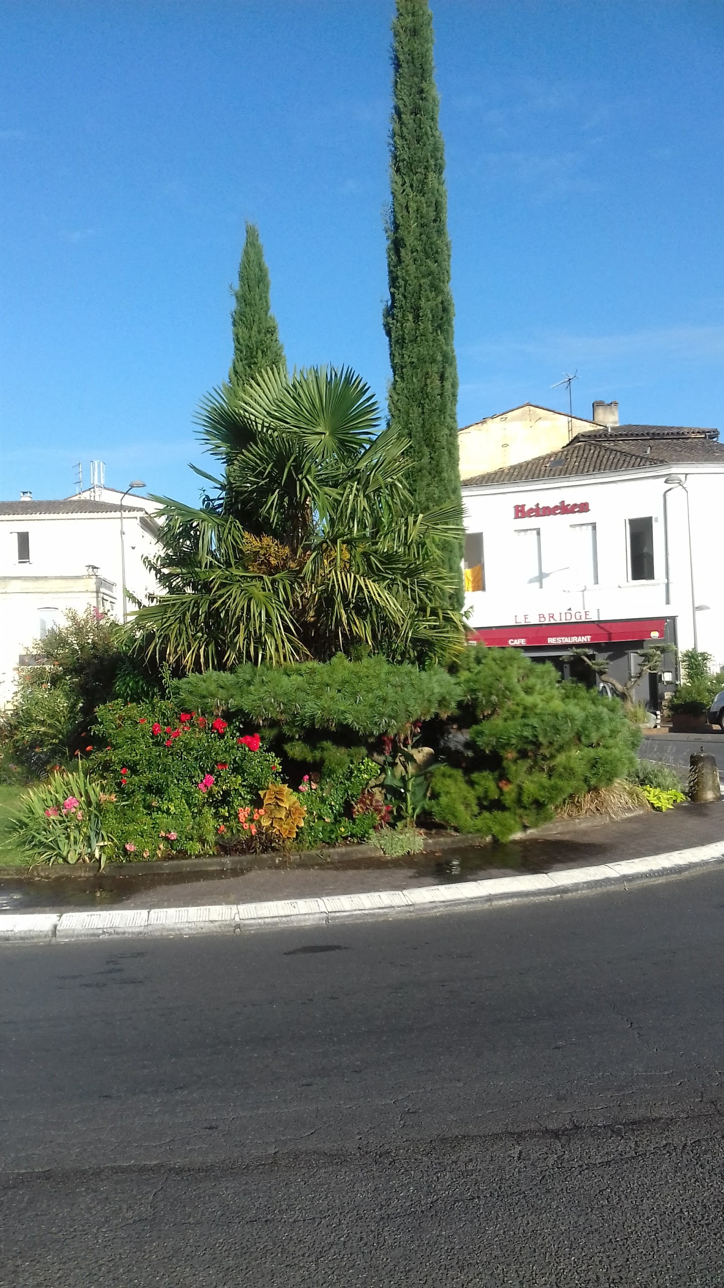 Photo n° 1 de l'avis de Djambila.e fait le 20/09/2017 à 12:34