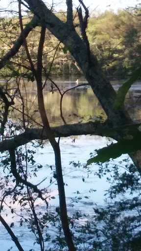 Nature Preserve «Gummere Woods And Marsters Preserve Trail», reviews and photos, 4 Wheeler Rd, North Grafton, MA 01536, USA