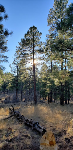 Land Of The Pioneers Trailhead