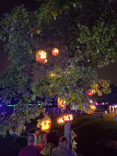 Park «Paulus Park», reviews and photos, 200 S Rand Rd, Lake Zurich, IL 60047, USA