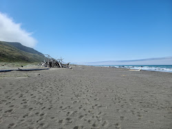 Photo de Mattole Beach avec rivage droit, long