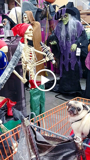 Home Improvement Store «The Home Depot», reviews and photos, 252 N Custer Rd, McKinney, TX 75071, USA