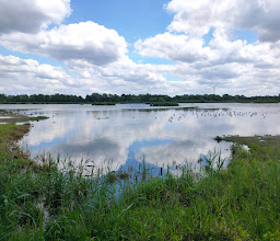 Emsaue Nature Reserve photo
