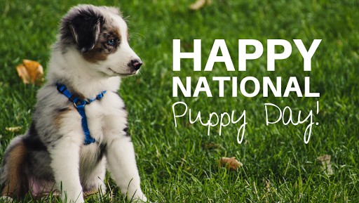 Pet Supply Store «Farmside Supplies Inc», reviews and photos, 15 Loomis Ave, Sussex, NJ 07461, USA