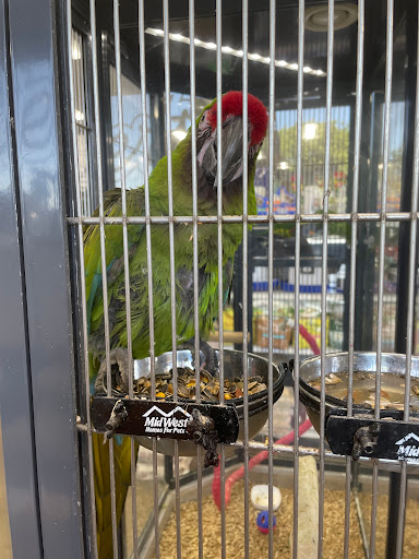 Pet Store «Carters Pet Mart», reviews and photos, 510 N Main St, Manteca, CA 95336, USA