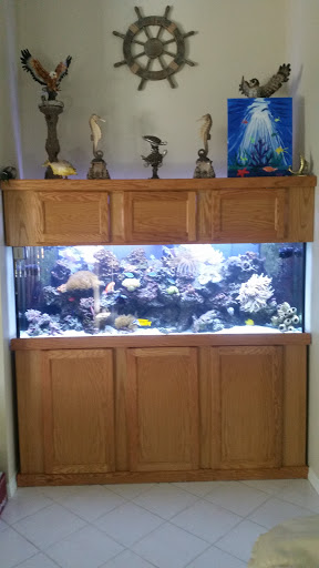 Aquarium «Aquatic Design & Development Group, LLC», reviews and photos, 1725 SW 17th St, Ocala, FL 34471, USA