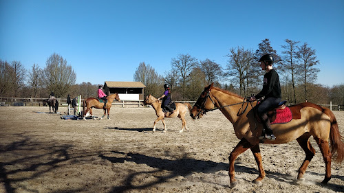 Centre équestre Centre Equestre de Luxeuil EARL Luxeuil-les-Bains