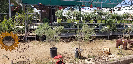 Hardware Store «Parco Home Center Inc.», reviews and photos, 2950 Williams Dr, Georgetown, TX 78628, USA