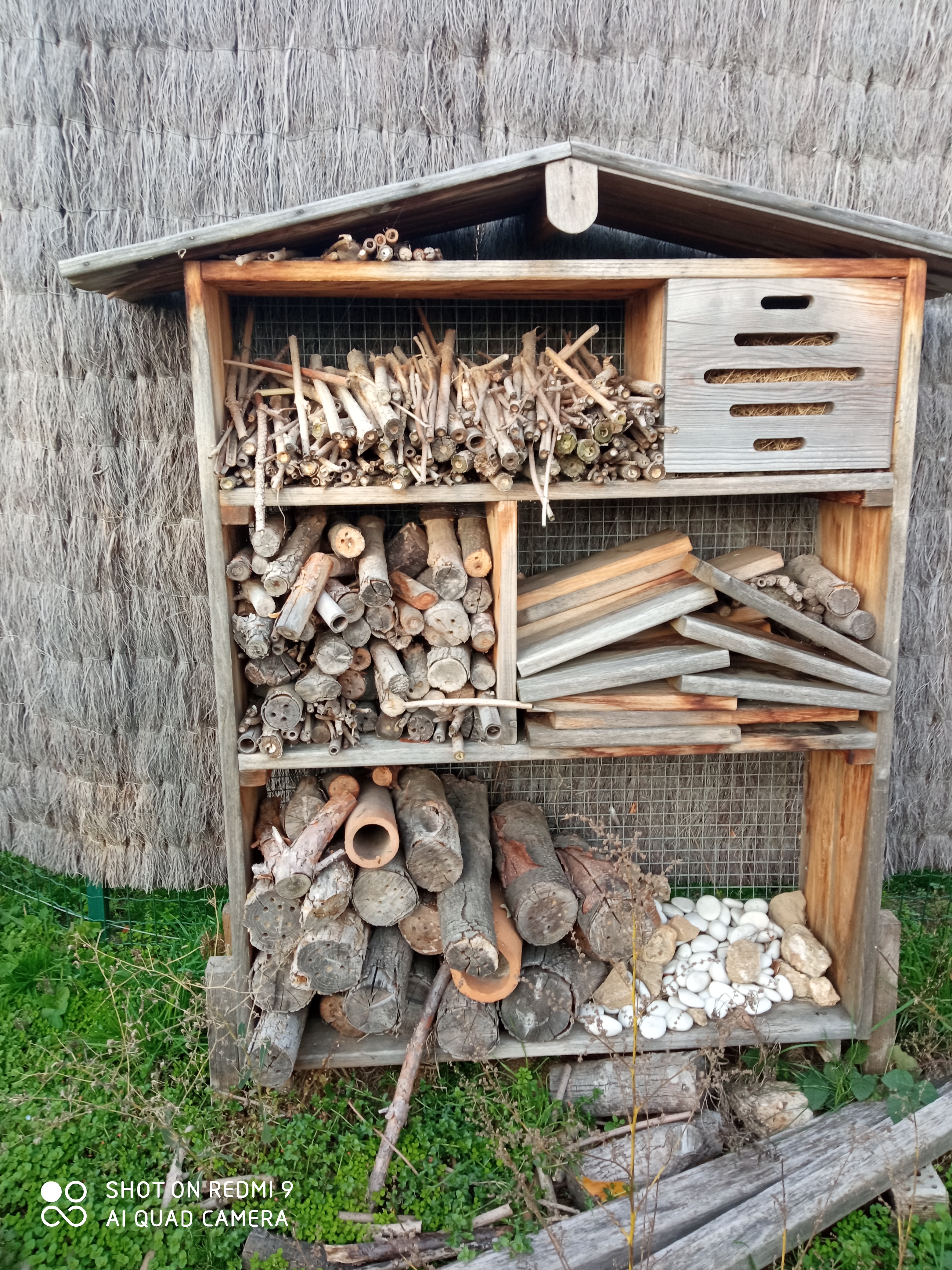 Photo n° 9 de l'avis de reseauoutremer.2 fait le 07/11/2020 à 18:39