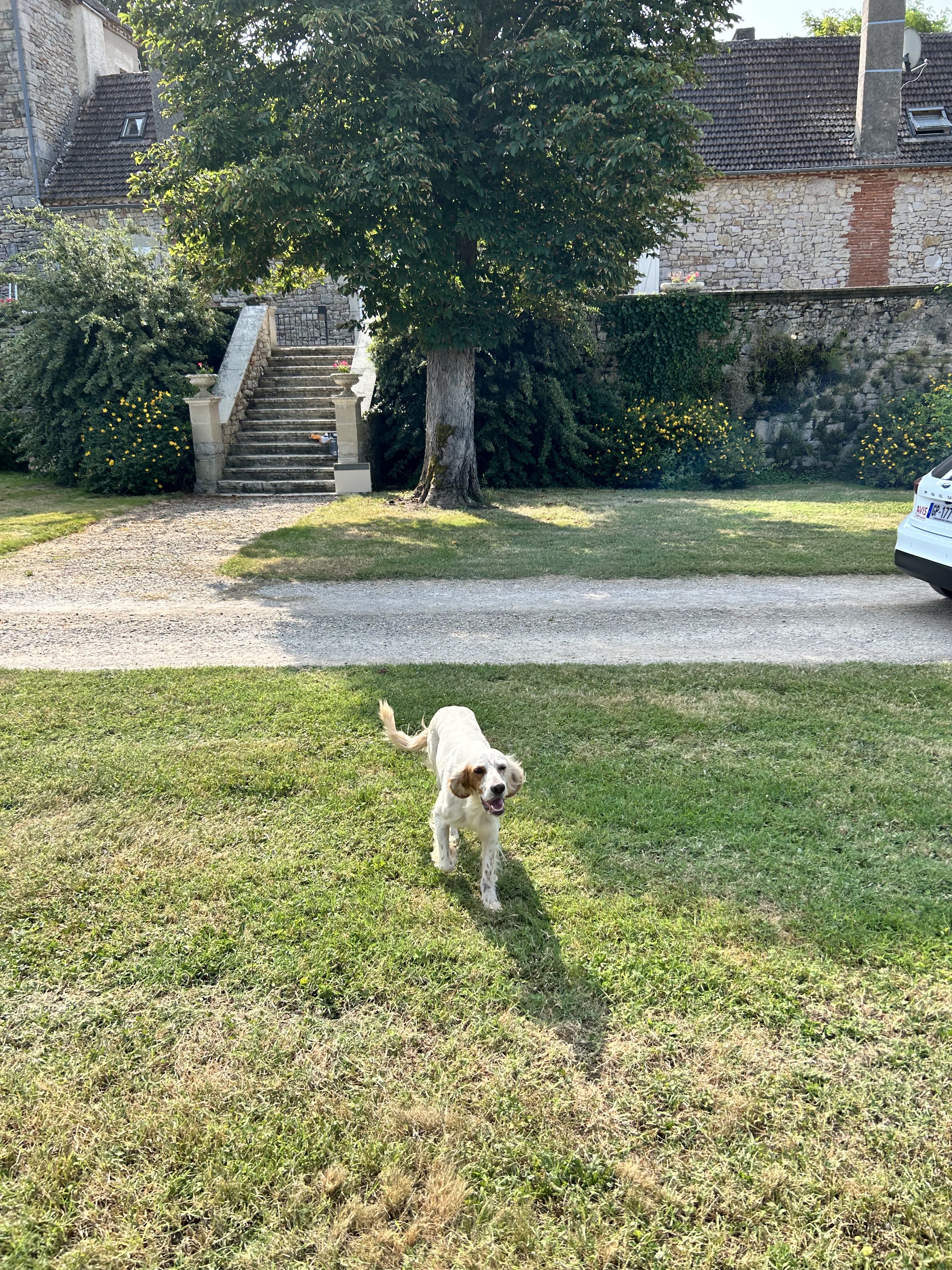 Photo n° 3 de l'avis de Beth.a fait le 12/09/2023 à 15:42