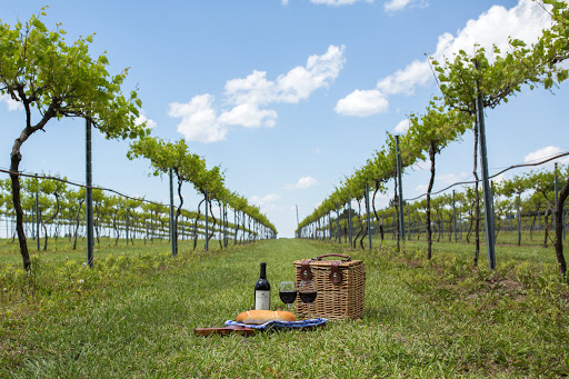 Winery «Capitol View Winery & Vineyards», reviews and photos, 2361 Wittstruck Rd, Roca, NE 68430, USA