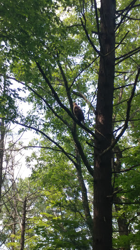 Park «East Rock Park», reviews and photos, 41 Cold Spring St, New Haven, CT 06511, USA