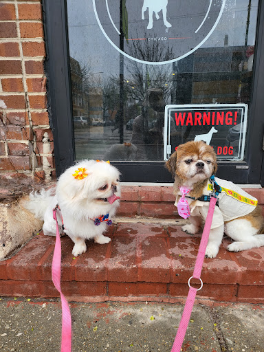 Itty Bitty's Doggy Daycare