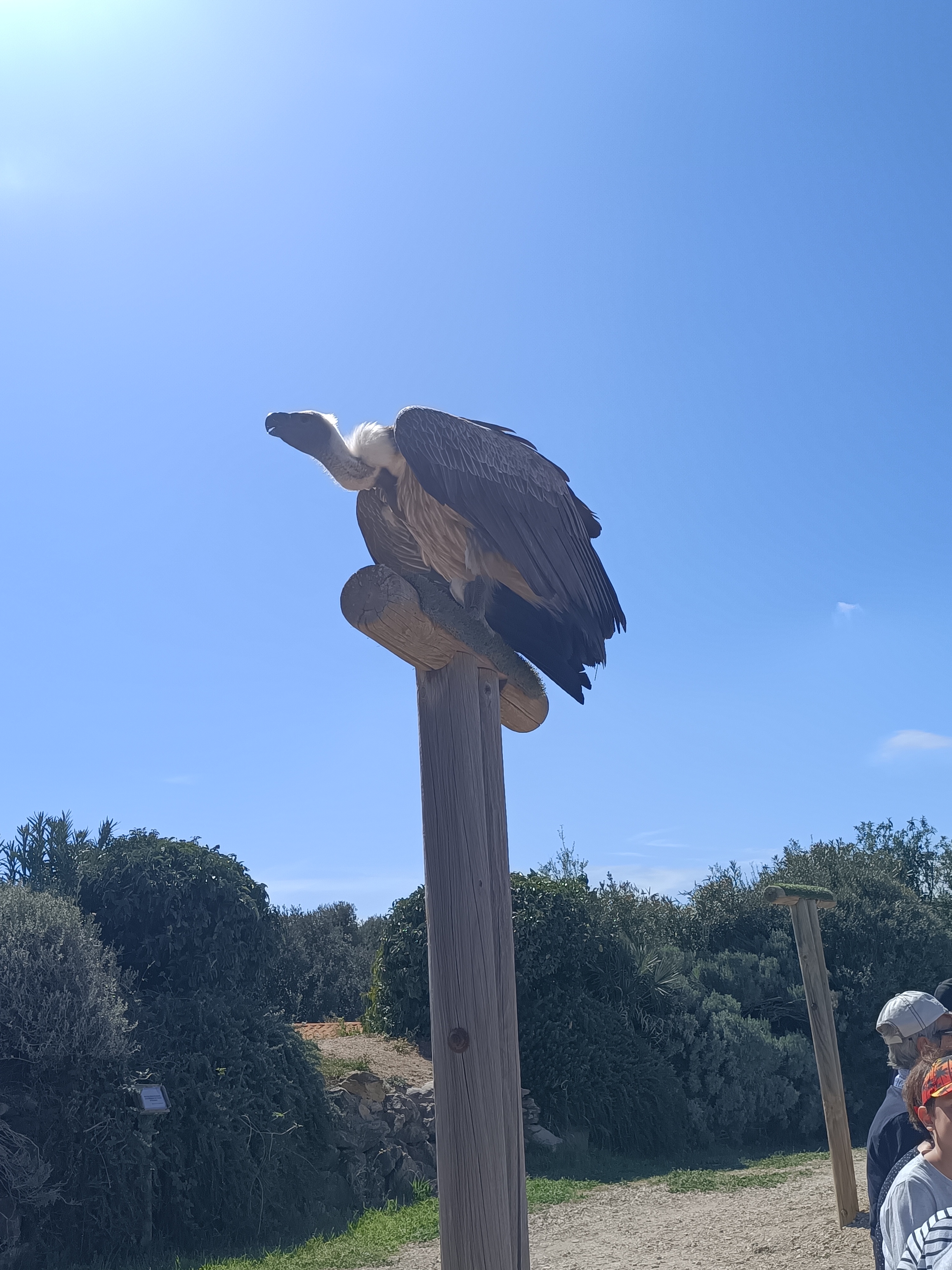 Photo n° 1 de l'avis de Thierry.r fait le 20/04/2023 à 17:55