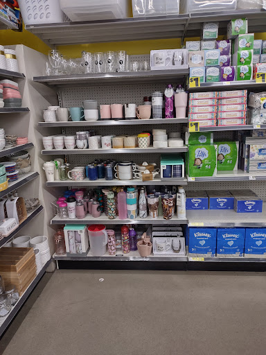 Discount Store «Dollar General», reviews and photos, 2259 US-41, Greenbrier, TN 37073, USA